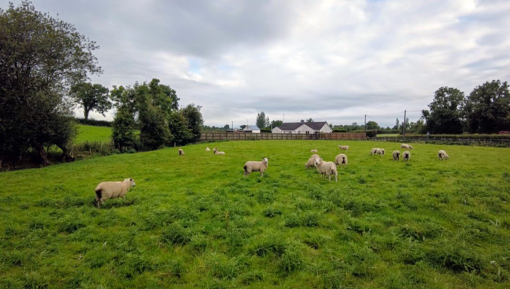 Barry Read, Read Agri Contracts, Fermanagh